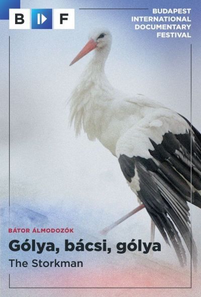 Plakát