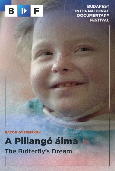 Plakát