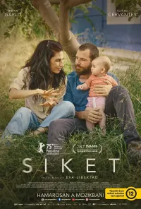 Plakát