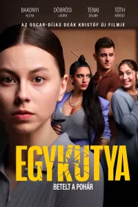 Plakát